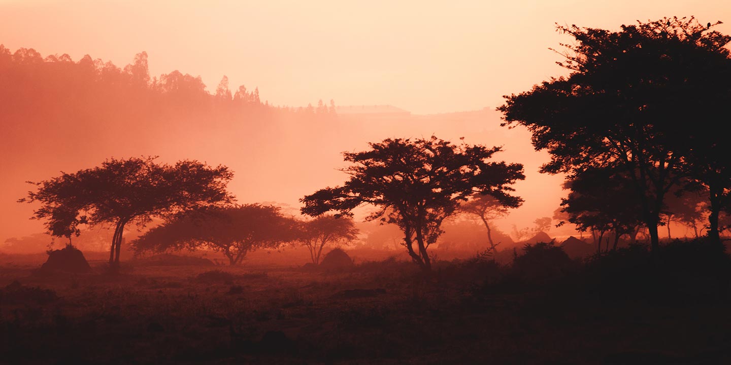 African Pink Sunset Dawn Kenyan